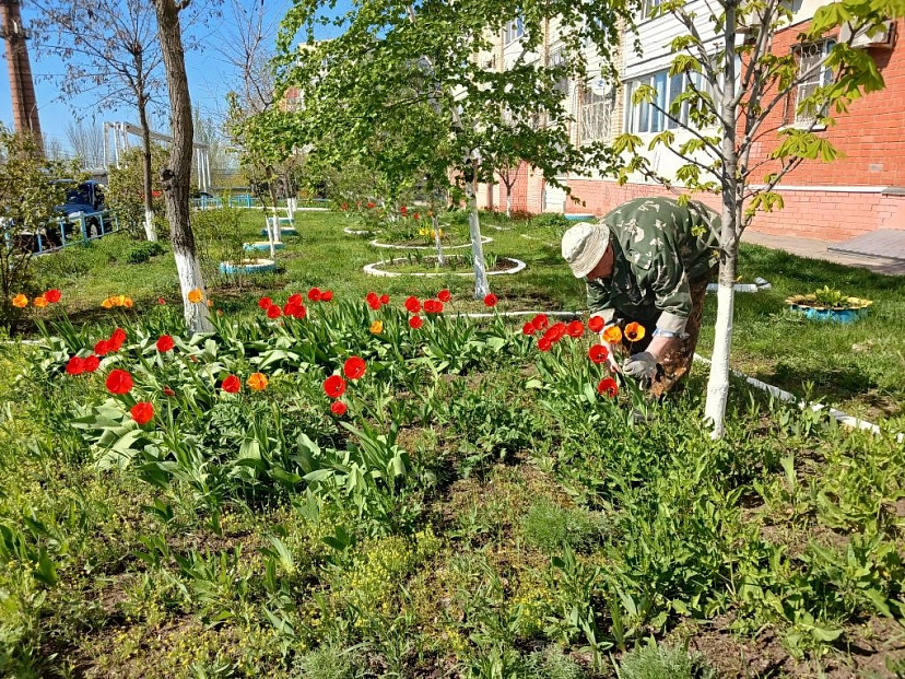 Жители Саратова обозначили необходимую для счастья сумму